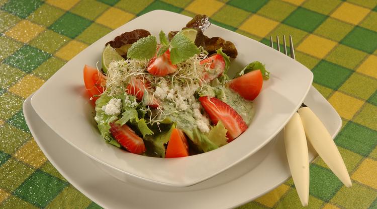 Mit főzzek ma? Íme egy remek Ricottás saláta uborkaöntettel recept. / Fotó: Ringier