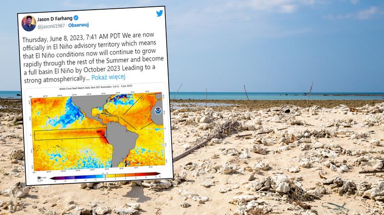 Ziemię czeka szereg anomalii pogodowych. Wszystko przez El Niño (screen: Twitter.com/jason61987)