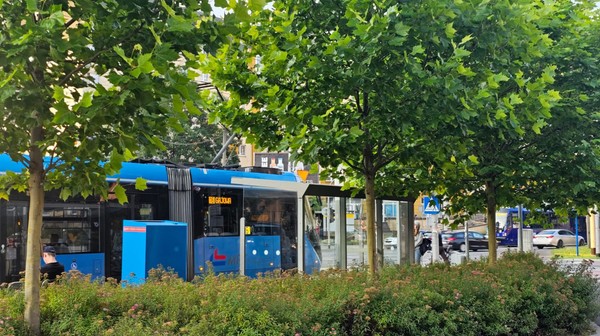 Coraz więcej przystanków we Wrocławiu prezentuje się właśnie tak. 