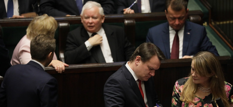 Jarosław Kaczyński upomni się o zwierzęta z posłanką KO?