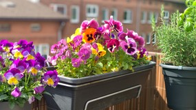 To jest zakazane na balkonie. kilka osób wie, iż grozi za to mandat 500 zł