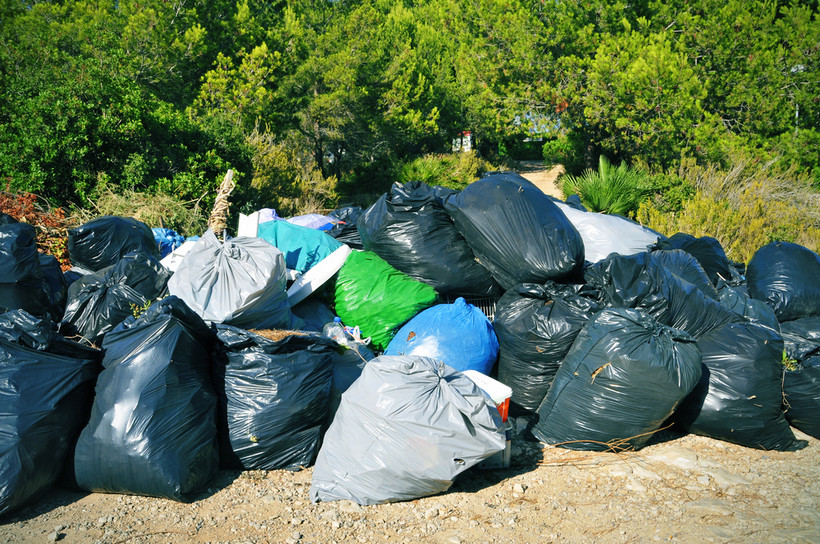Jeżeli przedsiębiorca usunął odpady z lasu, sąd może zastosować łagodniejszą karę