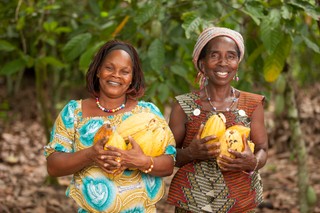 Zrównoważony biznes: od plantacji kakao do batonika w Twoim sklepie