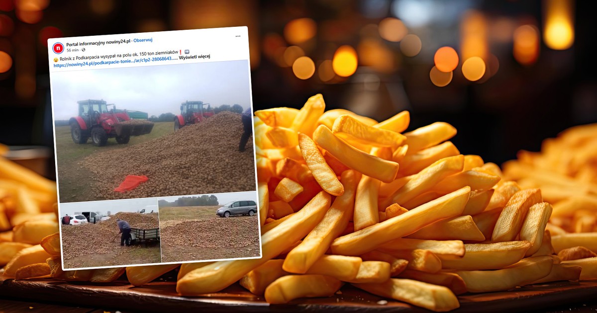 Ziemniaczany dramat na Podkarpaciu. Rolnik wysypał 150 ton. "Bierzcie za darmo!"