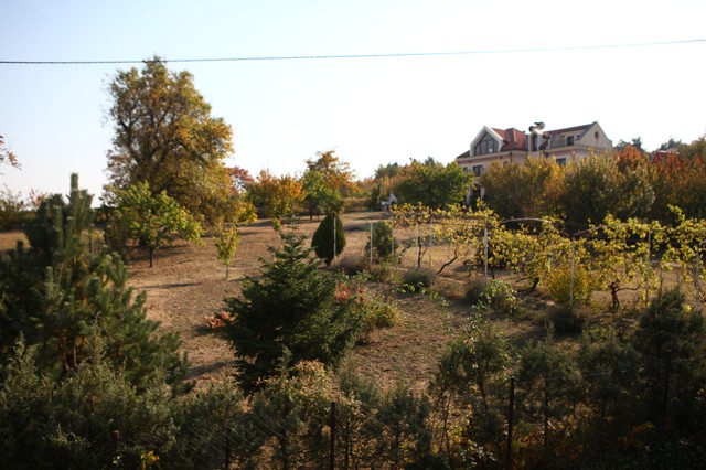 imanje Anice Dobre u Grockoj