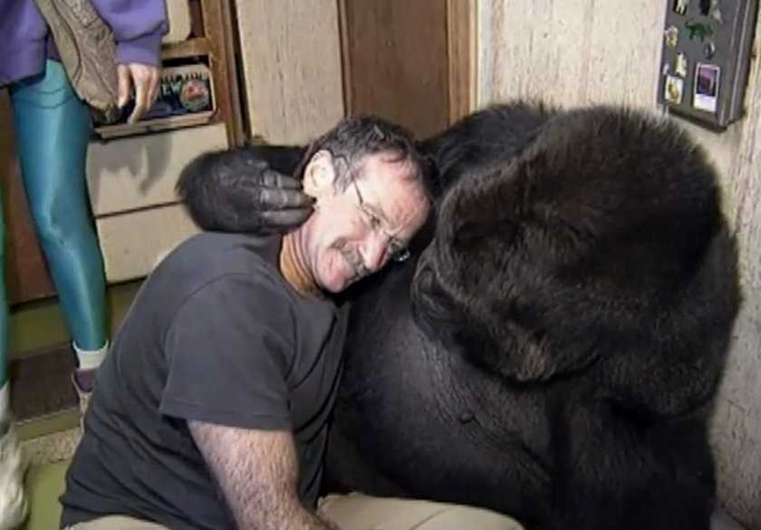 Robin Williams i Koko