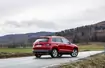 19. Skoda Karoq: 772 egz.