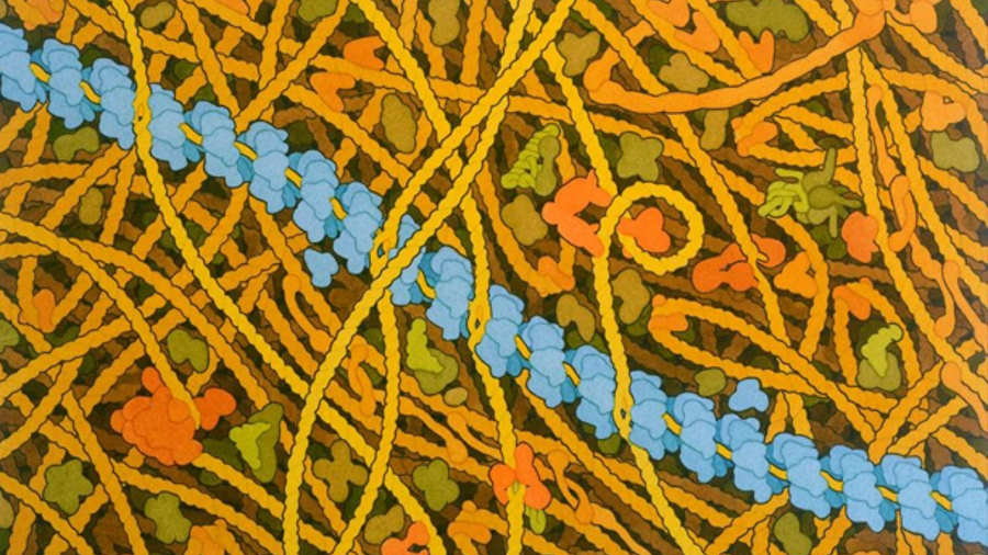 Ilustracja filamentu RecA, fot. David Goodsell/ Uppsala University