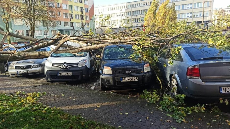 Wichura na Warmii i Mazurach. 150 interwencji tylko w Olsztynie 