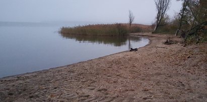 Zwłoki dziecka na brzegu. 18-latka zatrzymana!