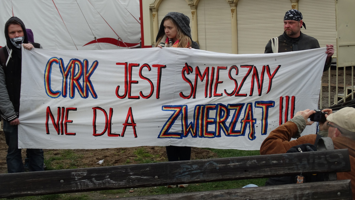 Zielona Góra: protest przeciwko widowiskom cyrkowym z udziałem zwierząt