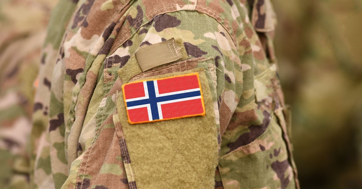 Polska jednym z kluczowych sojuszników. Bogaty europejski kraj ma nową strategię bezpieczeństwa