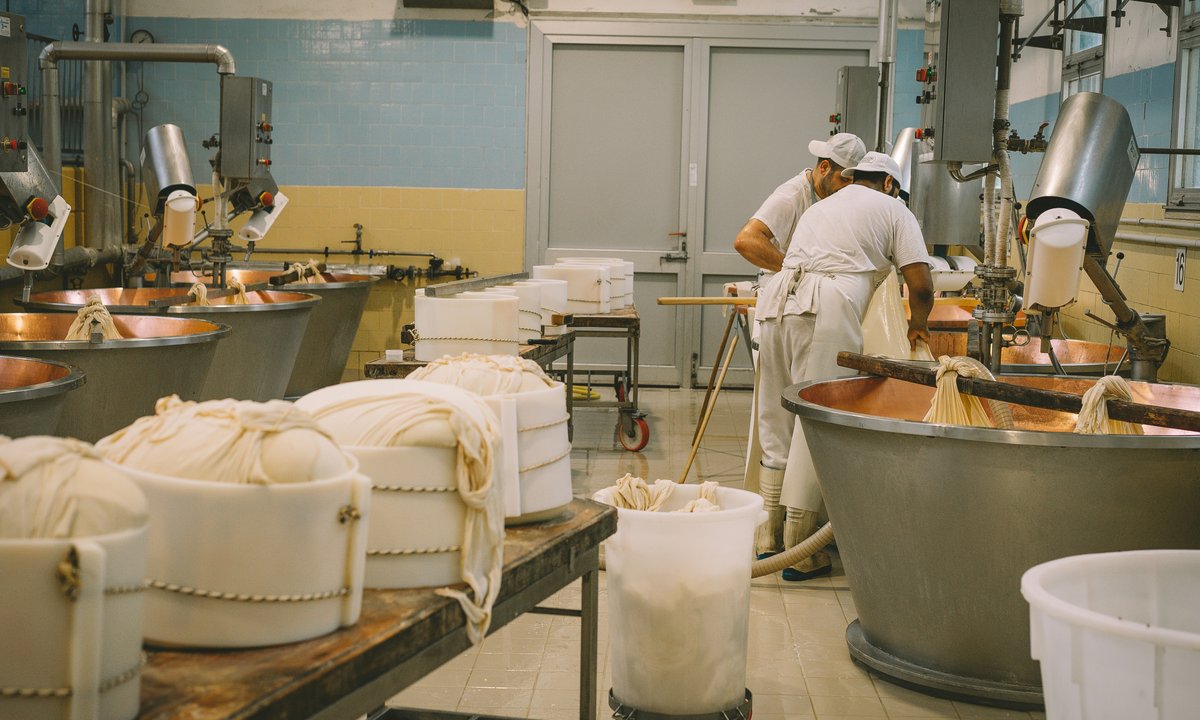 W USA jest boom na staropolski ser. Wszystko przez trend na TikToku