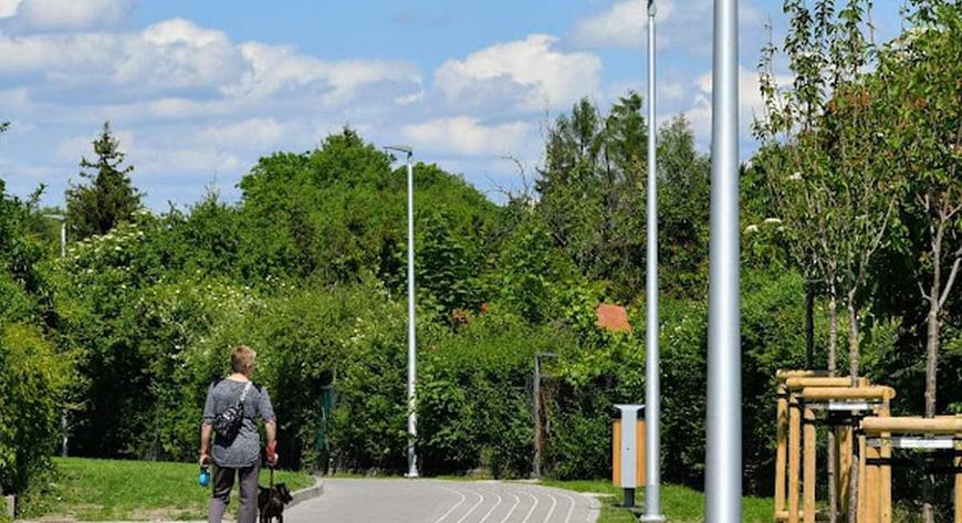 Jeśli we Wrocławiu powstaje nowa ścieżka rowerowa, możemy mieć pewność, że pojawi się też nowa zieleń.