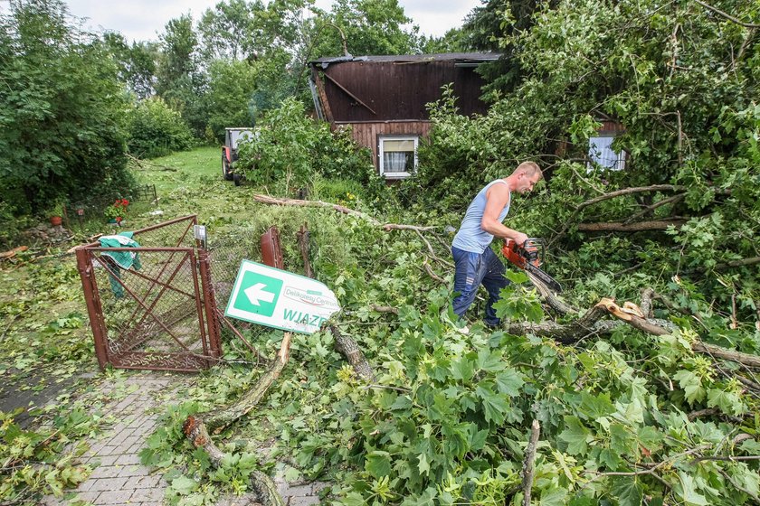 Animal Patrol zorganizował zbiórkę dla ludzi na Kaszubach, poszkodowanych w nawałnicy