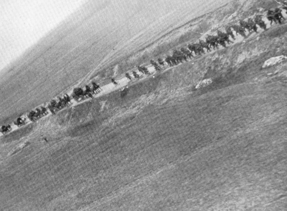 Piechota niemiecka z taborami konnymi podczas marszu