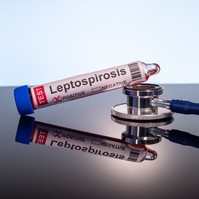 Leptospirózis