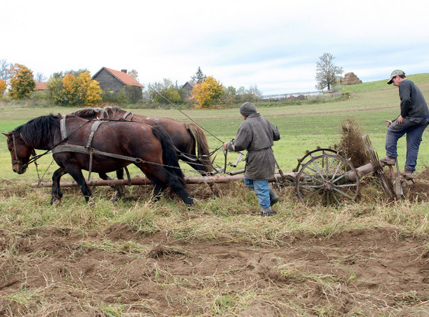 Rolnicze emerytury łamią konstytucję?