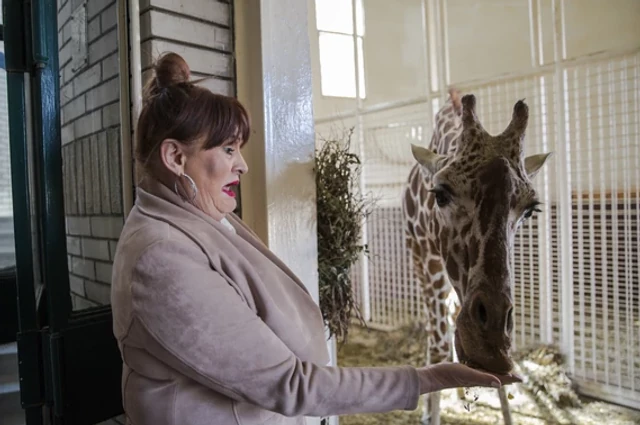 "SLIKE SU NEMORALNE!" Srpska doktorka (77) progovorila o NEPRISTOJNIM PONUDAMA nakon razvoda od supruga