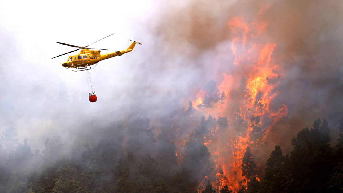 Duży pożar lasów na Teneryfie. Trwa ewakuacja ludności