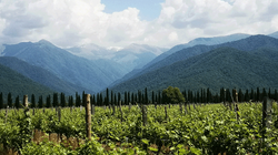 Gruzińskie wina – nowe tropy