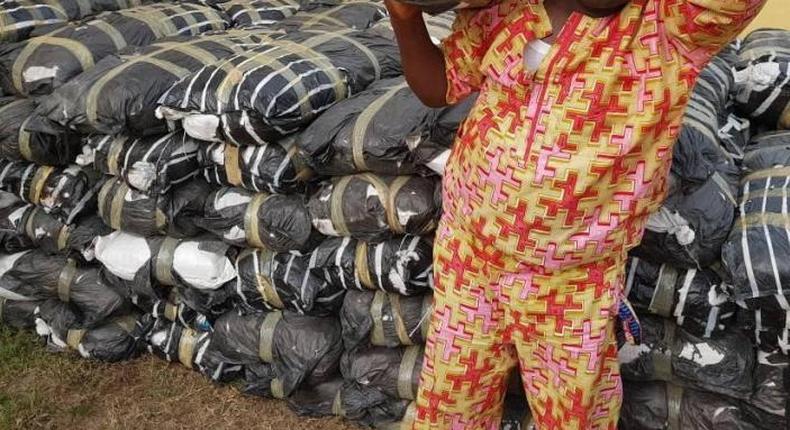 An indian hemp merchant suspect, who was reportedly caught with 114 bags of the illegal substance/Image used for Illustration purpose [Premiumtimesng]