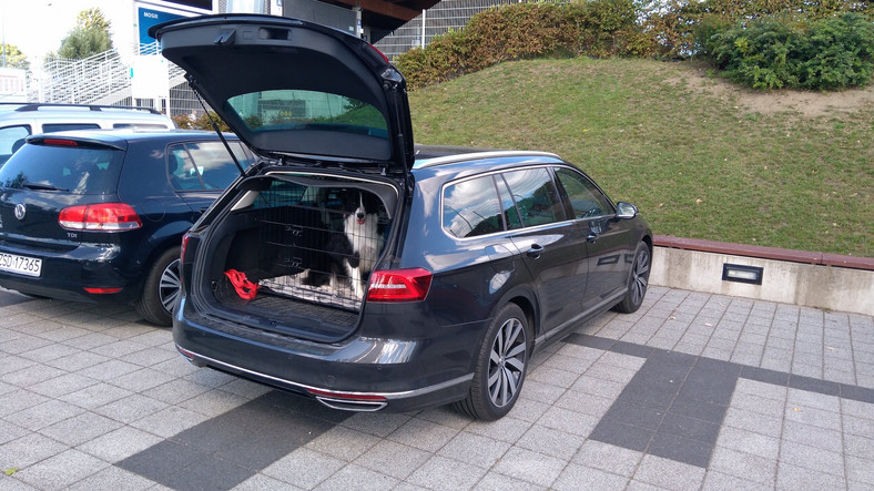 Volkswagen Passat 2.0 TDI kontra Touran 2.0 TDI