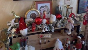 Dragica Zlatić, kuća