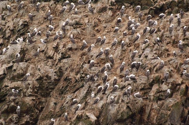 Galeria Peru – kolory nieba i ziemi, obrazek 28