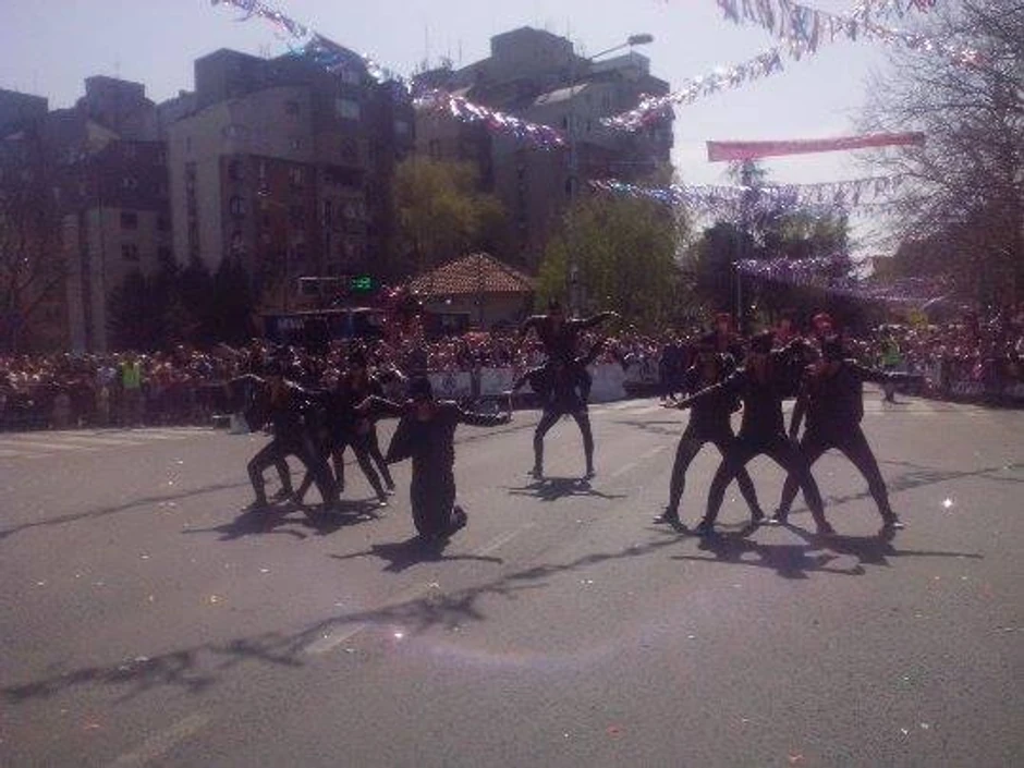 Žene mačke stigle su iz Bijeljine