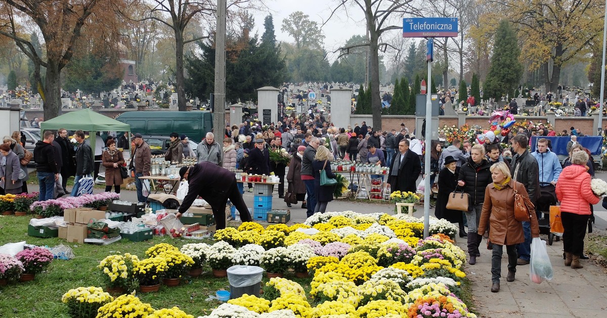 Wystarczy odrobina do doniczki. Kwiaty na grobie będą stały dłużej i zachowają świeżość