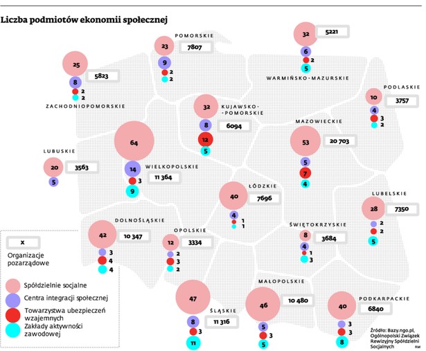 Liczba podmiotów ekonomi społecznej