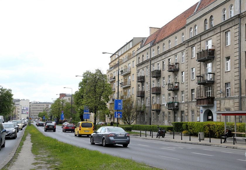 Zieleń wyciszy ruchliwą ulicę