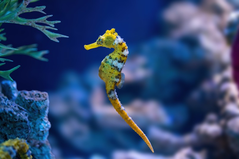 W tym quizie zadajemy pytania z biologii na poziomie maturalnym
