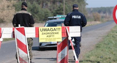 Dronem chcą uderzyć w dziki. Na razie jednak tylko płacą krocie za same słowa