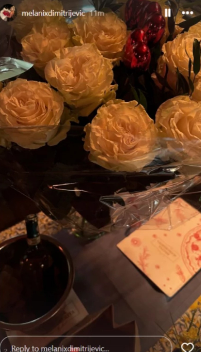 Melani, objava na Instagramu