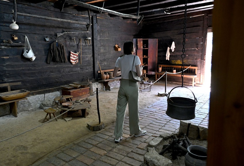 Kuća Živojina Mišića