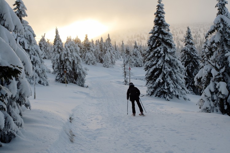 <strong> Sudety: Szklarska Poręba </strong>
<br><br>
Równie popularnym przystankiem dla narciarzy w Sudetach jest Szklarska Poręba. To jednocześnie największy kurort rekreacyjny w tym paśmie. Największym ośrodkiem narciarskim jest SkiArena Szrenica, która oferuje 12 km zróżnicowanych tras. <br><br>