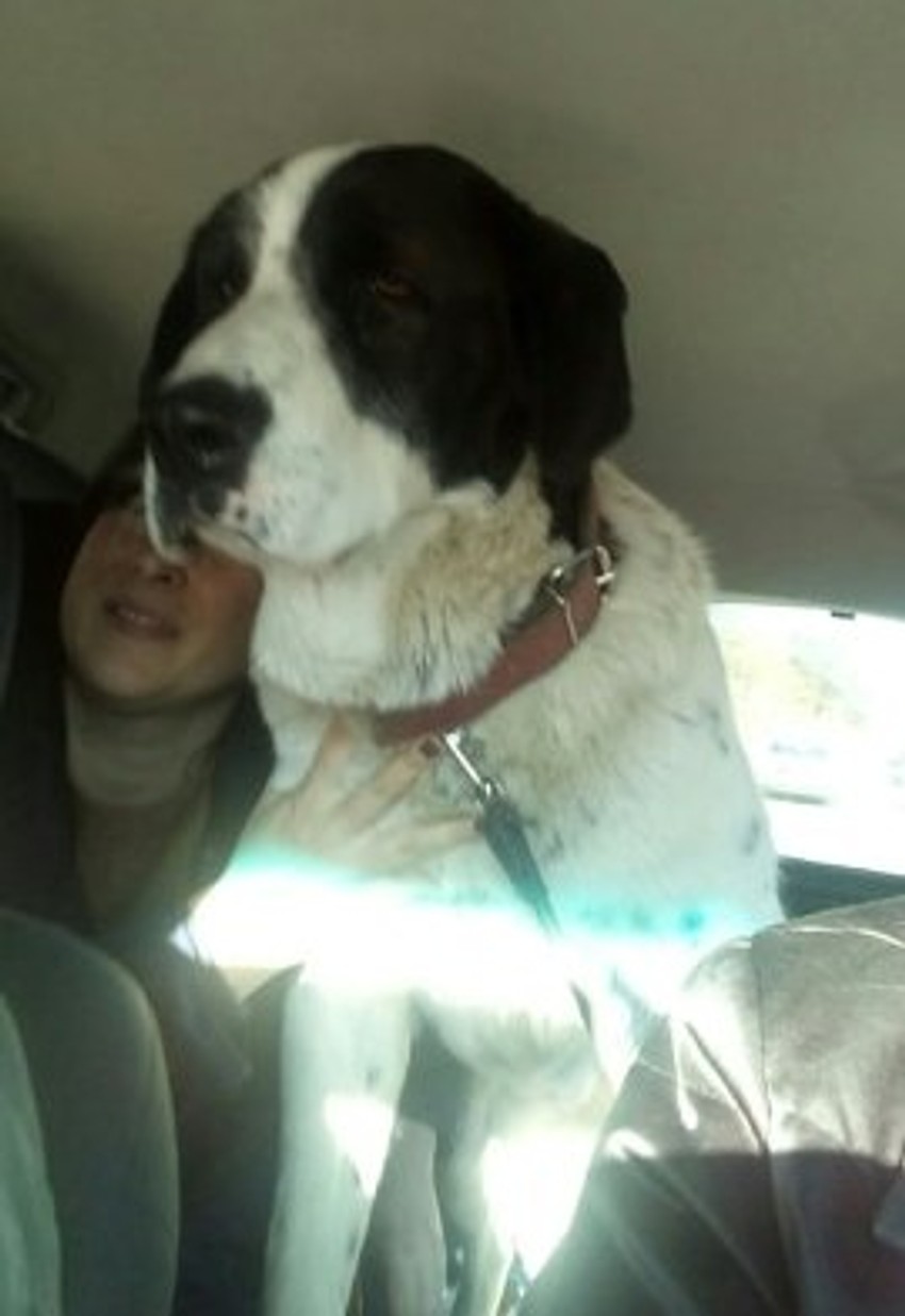 Reks je ponovo među svojima