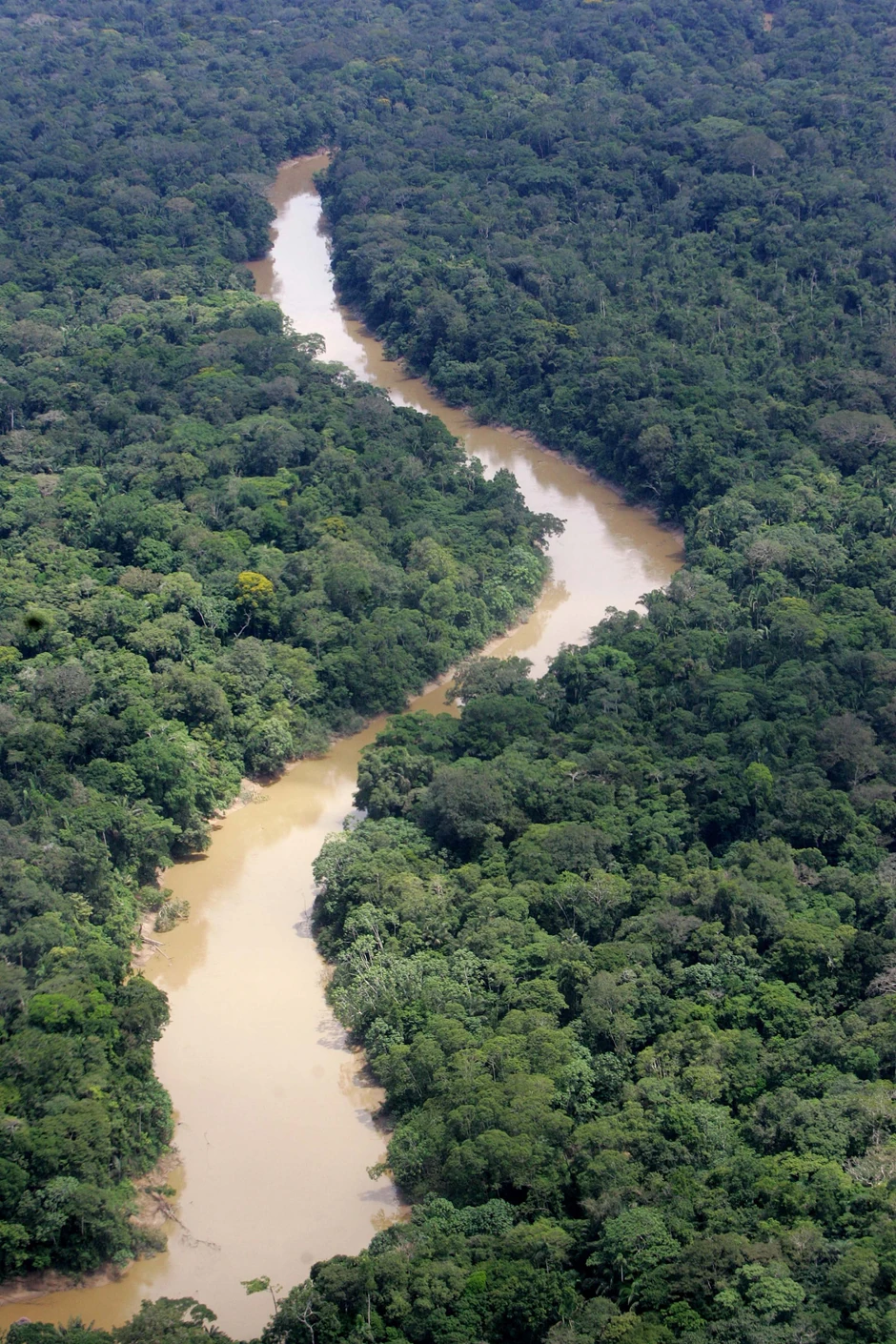 Mnogi su zaboravili na ovu legendu do 2012. godine, kada je grupa arheologa iz Amerike i Hondurasa došla u deo prašume za koji se pričalo da je mesto na kom je nekada postojao grad