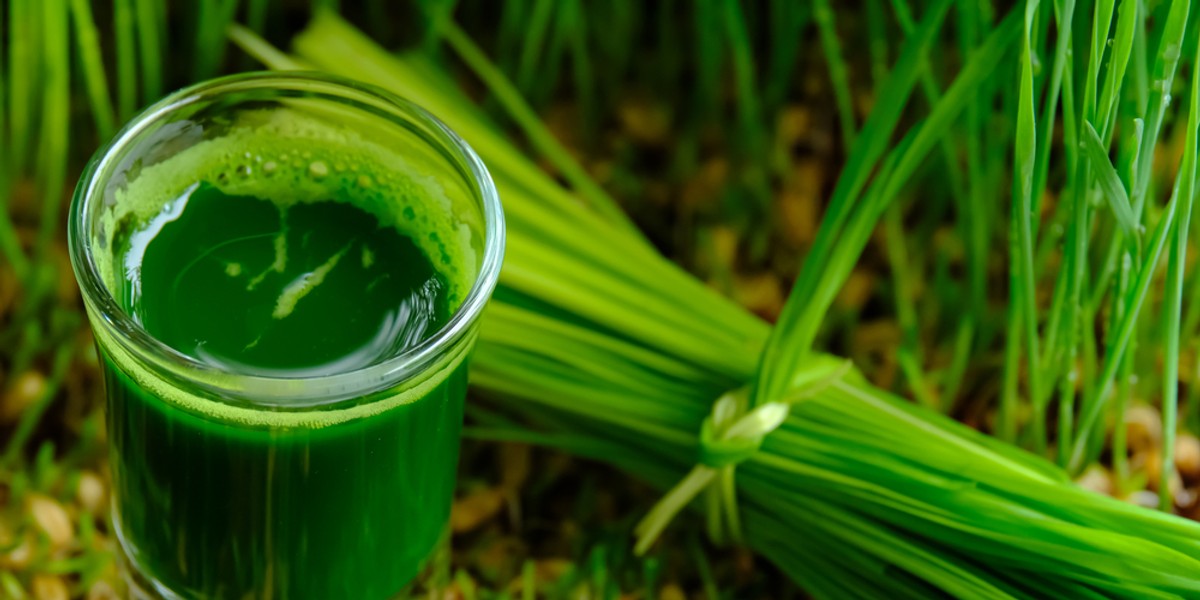 Naturalne soki na detoks i odchudzanie - które będą najlepsze? - Zdrowie