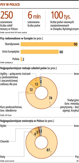 Właściciele psów wydają nawet 1500 zł miesięcznie na ich szkolenie