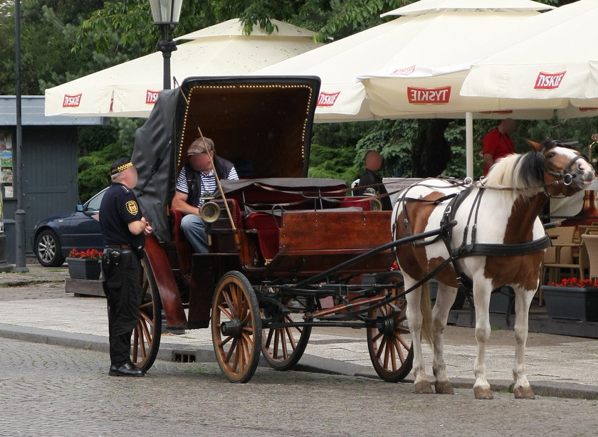 straż miejska w Gdańsku