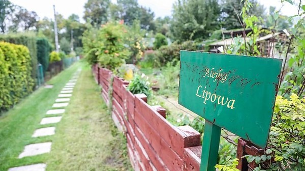 W Polsce jest blisko 5 tysięcy rodzinnych ogródków działkowych, a w samym Krakowie jest ich 105 i mają powierzchnię ponad 500 ha