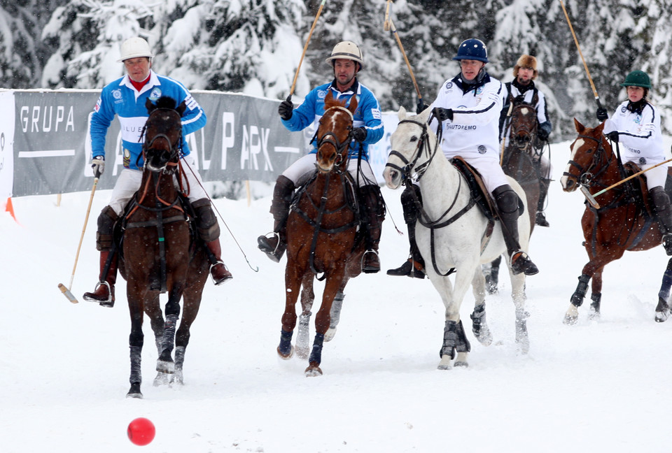 Polo na śniegu u podnóża Tatr