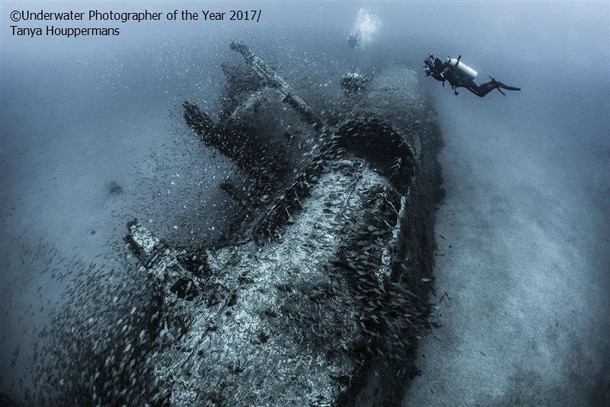 2017 Underwater Photographer of the Year