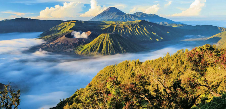  Bali i Ijen Harmonia Żywiołów Indonezja