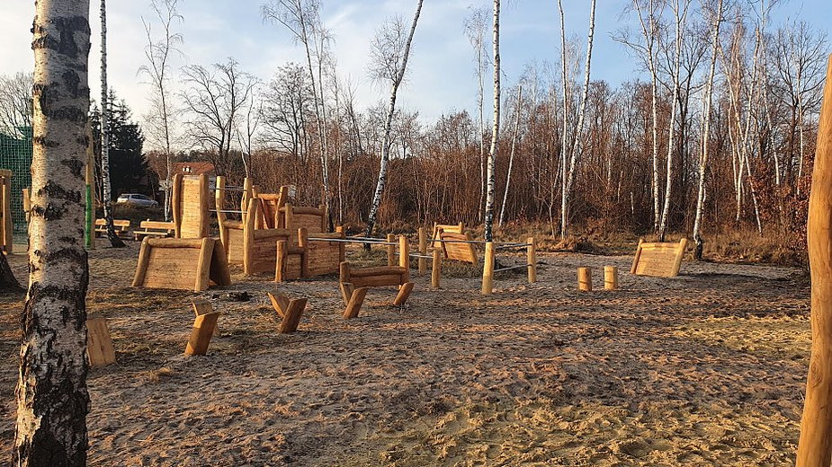 Czy podobnie jak w Międzylesiu, również w Falenicy, dzięki budżetowi obywatelskiemu powstaną obiekty sportowo-rekreacyjne wśród drzew? Źródło: Lasy Miejskie