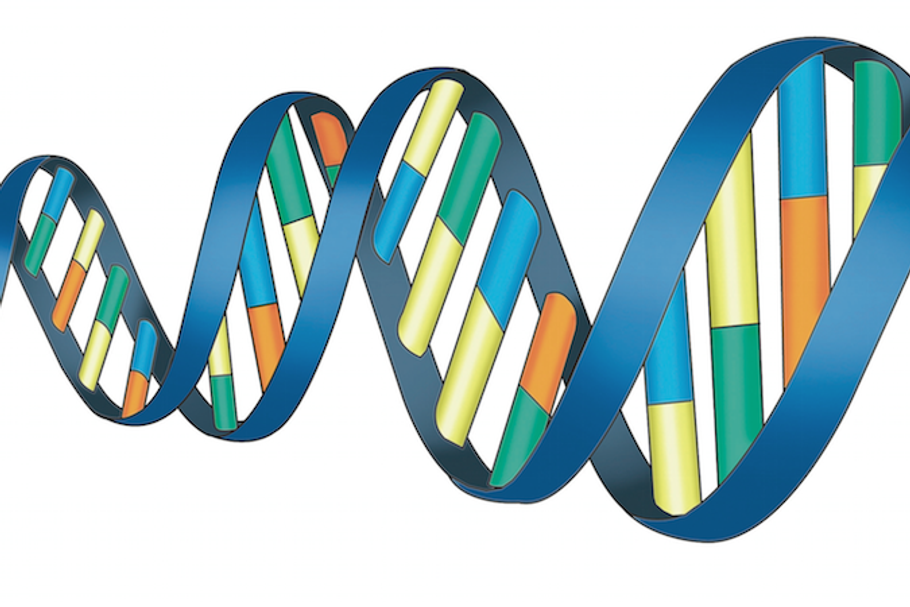 DNA przedsiębiorcy