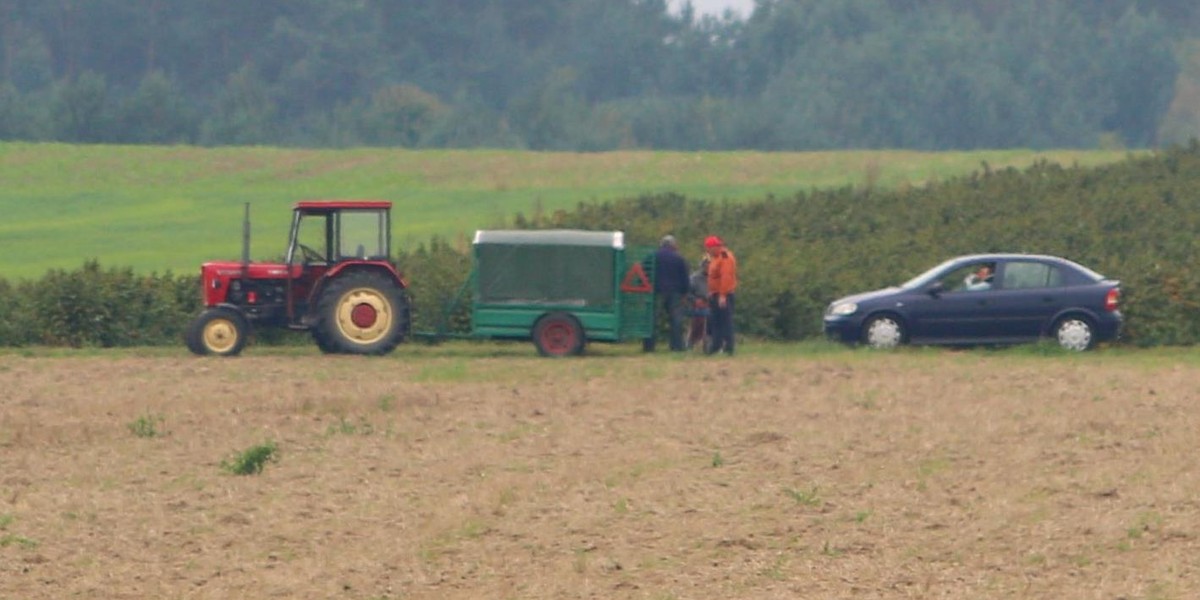 Zdzisław D. wrócił do domu, jest pilnowany przez policję na każdym kroku